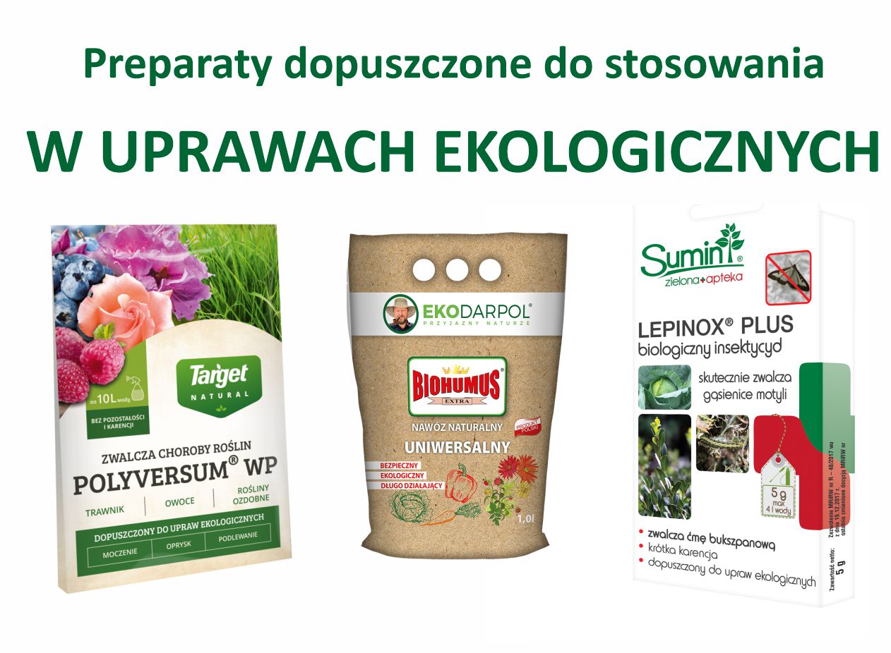 Banery_strona główna4.jpg